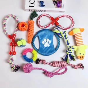 Detailed close-up of 11-piece durable cotton rope and rubber dog chew toy set for pets