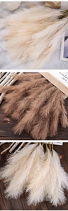 Macro detail of artificial pampas grass showing realistic fluffy plumes and slender stems