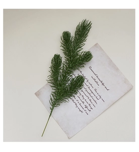 Detailed view of realistic green PE pine branch on vintage paper for Christmas decor