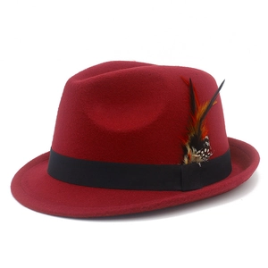 Detail of wool felt fedora hat featuring black ribbon band and decorative feathers