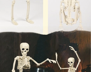 Detail of 40cm poseable skeleton model showing flexible joints and stable standing posture