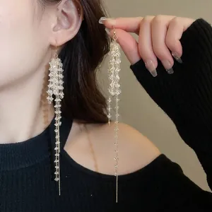 Eleganti orecchini lunghi con frange di cristallo trasparente e catene dorate sottili
