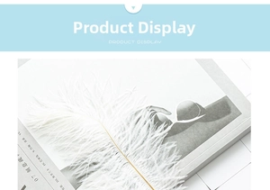 Detail of elegant white ostrich feather with gold stem on an artistic magazine