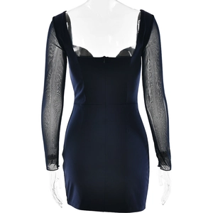 Back view of bodycon dress showing sheer mesh sleeves and back zipper detail