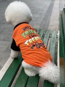 Detail of a white dog wearing an orange Halloween t-shirt with Will Trick For Treats print