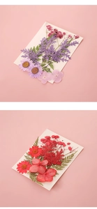 Detail von getrockneten Blumen mit Gänseblümchen und Farn für DIY Lesezeichen Handwerk