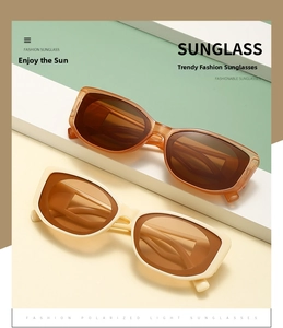 Detail of rectangular oval sunglasses showing polarized lenses and hollow frame structure