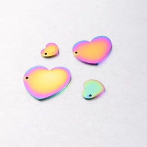 Regenboogkleurige hartvormige hangers van roestvrij staal in diverse maten met gat