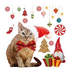 Christmas wall sticker featuring a Devon Rex cat with festive hats and gift box decor