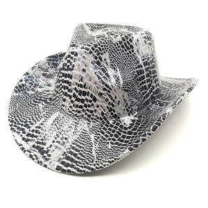 Détail du motif serpent argenté sur chapeau de cowboy avec finition brillante