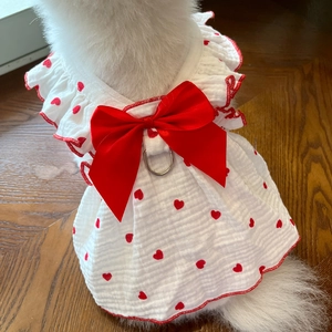 Detail of white dog dress with red heart prints and a silk bow on wooden floor