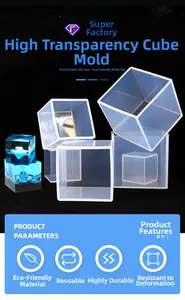 Macro view of transparent cube silicone mold for resin and dried flower specimen DIY