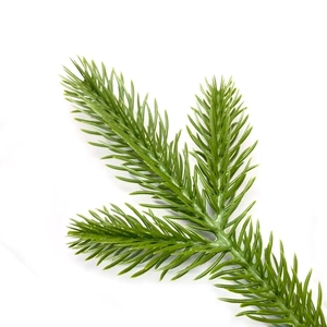 Single green artificial pine needle branch for DIY Christmas gift box decoration and crafts
