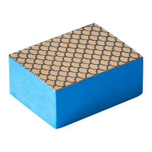 Blue scale-patterned abrasive sponge for removing water stains on mirrors and glass