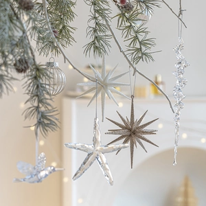 Eleganti ornamenti natalizi in argento con colibrì e stelle su rami di cedro