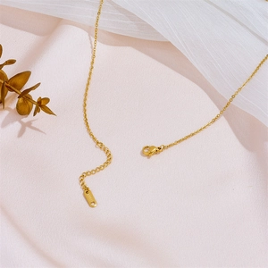 Detail of a gold titanium steel necklace chain with extension and shell heart charm