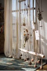 Detail of Nordic birch wood photo display with hemp ropes, wooden clips and pine cones