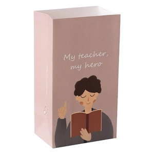 Pink paper gift bag with 'Teacher Hero' illustration and 'Thank You' text for Teacher's Day