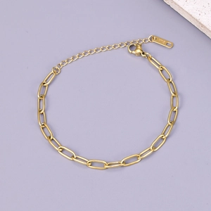 Detail of 18K gold titanium paperclip chain bracelet with lobster clasp and extension