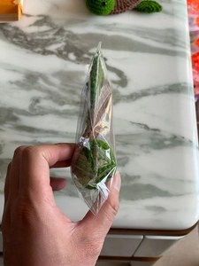 Detailed view of a handmade crochet turtle coaster in clear protective plastic packaging