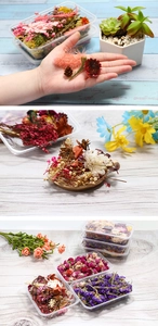 Close-up of colorful dried flowers and fruits in boxes for DIY floral arrangements