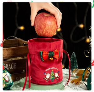 Detail showing a hand placing an apple into a red velvet drawstring Christmas gift bag