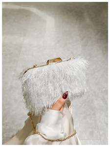 Close-up of white feather texture on an acrylic clutch bag with golden metal clasp