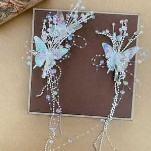 Eleganti fermagli per capelli a farfalla con perle iridescenti e nappe argentate