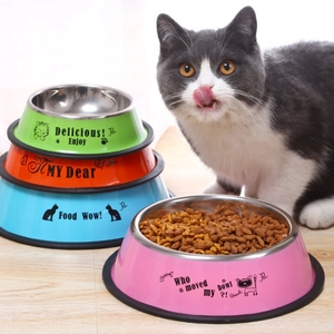 Detail of colorful stainless steel pet bowls in green, orange, blue, and pink finishes