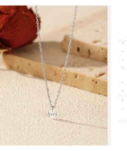 Detailansicht eines silbernen Moissanit-Anhängers an einer Kette mit getrockneter Rose