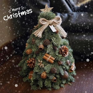 Miniature Nordmann fir Christmas tree with pine cones, cinnamon sticks, and burlap bow