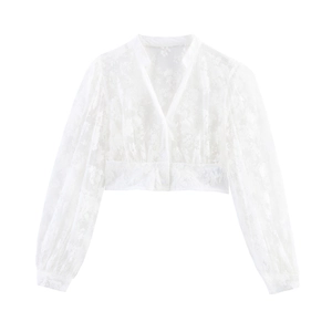 Women Lace Blouse V Neck Long Lantern Sleeve See Through Mesh Floral Embroidered Cropped Shirt White Elegant