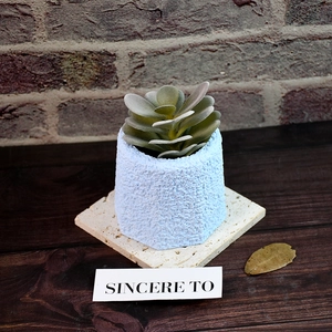 Detail of octagonal blue resin mold planter with succulent on a rustic wooden table