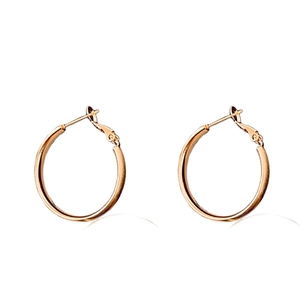 Orecchini a cerchio minimalisti in metallo spazzolato placcato oro dal design elegante