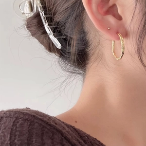 Detail of 925 silver golden hammered hoop earrings and clear hair claw on a female model