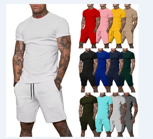 Detailed grid view showcasing various color options for men's summer sports T-shirt and shorts set