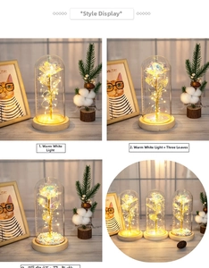 Detailed view of gold foil roses in glass domes with LED lights and wooden base options