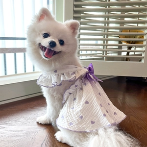 Close-up of white pet dress with purple heart patterns and bow on a Pomeranian dog