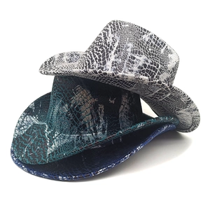 Western cowboy hat with snake skin texture pattern in multiple colors and wide brim