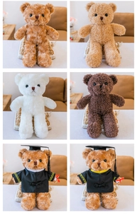 Set di diversi orsetti di peluche inclusi i modelli di laurea in visualizzazione a 6 griglie