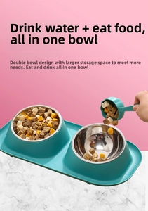 Close-up of dual pet bowls with stainless steel liners and a matching green food scoop