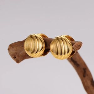 Golden stainless steel round striped clip earrings displayed on a natural branch