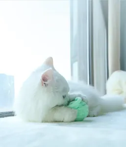 Close-up of white cat playing with mint green knitted yarn ball toy on a bright windowsill