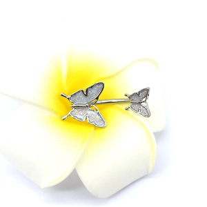 Macro shot of silver butterfly belly ring with iridescent wings on a frangipani flower