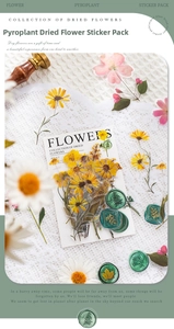 Detailed view of dried flower and wax seal stickers on elegant white lace background