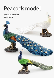 Detailed peacock animal model set with fine feather textures and stable rock-like bases