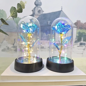 Dual LED gold foil blue rose lamps in glass domes on a decorative book base