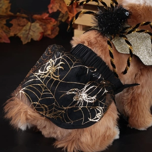 Halloween pet costume set featuring black spider wings and skirt with gold cobweb prints