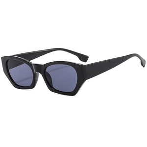 Retro small frame geometric sunglasses with thick black frames and dark grey lenses