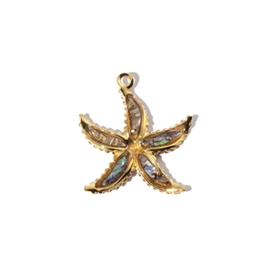 Macro detail of starfish pendant with golden metal frame and iridescent shell inlay